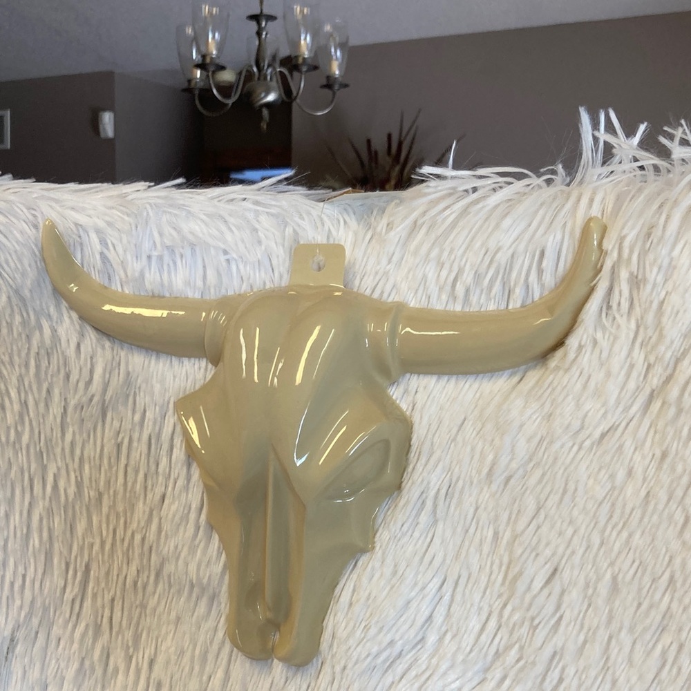 Steer Skull Western Decor - Picture 5 of 8
